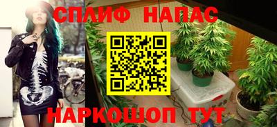 мяу мяу мука Нарткала