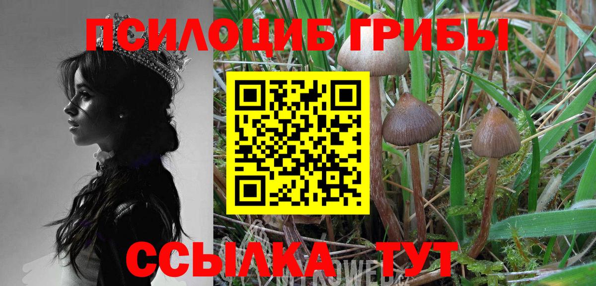 Узловая  Галлюциногенные грибы Cubensis  Вход с VPN 