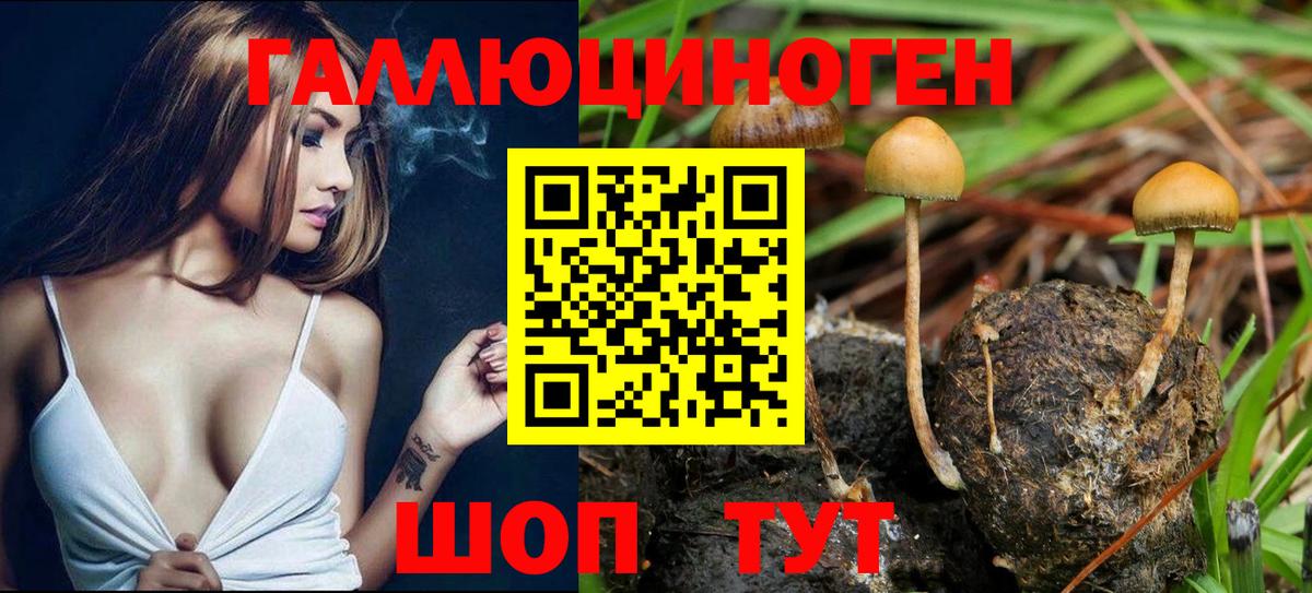 Галлюциногенные грибы ЛСД Узловая